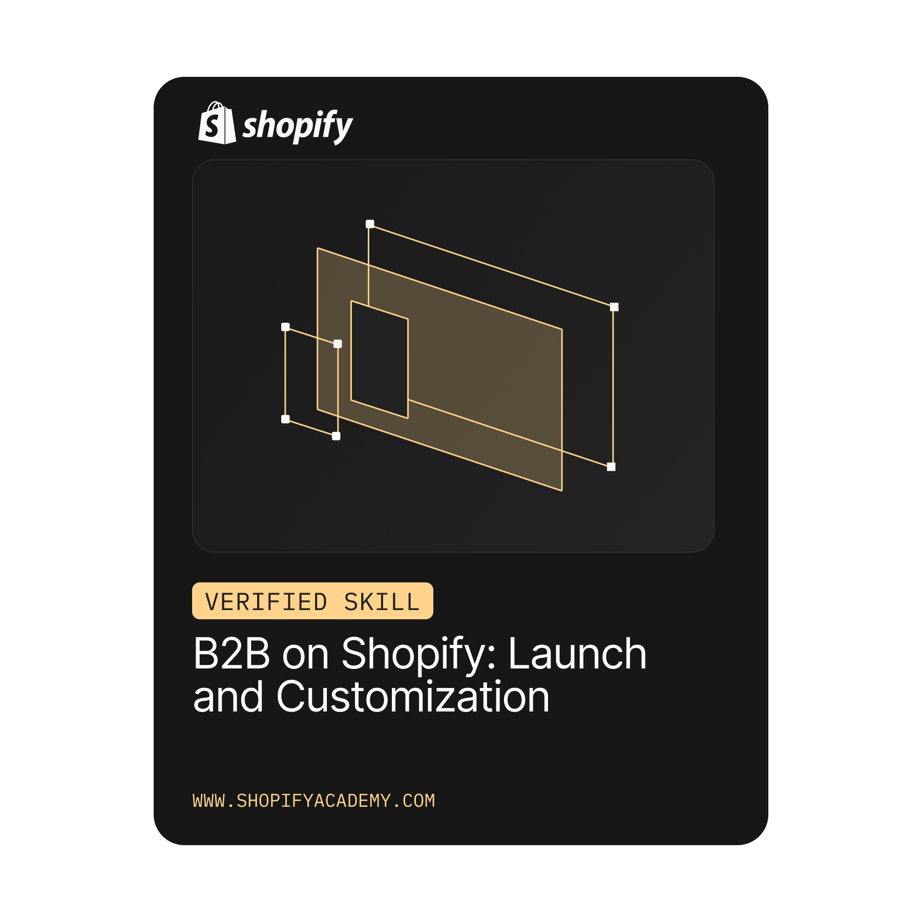 B2B on Shopify Launch and Customization